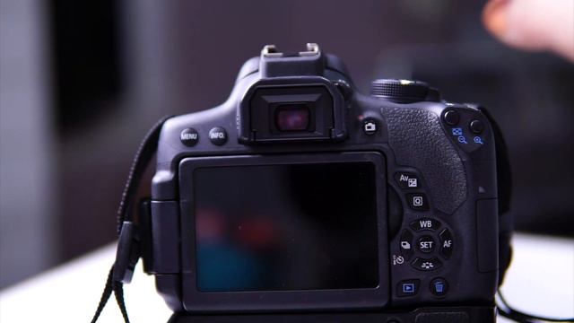 NEEWER TT560 SPEEDLITE OFF CAMERA FLASH CANON | SHEILA SHIMMERS