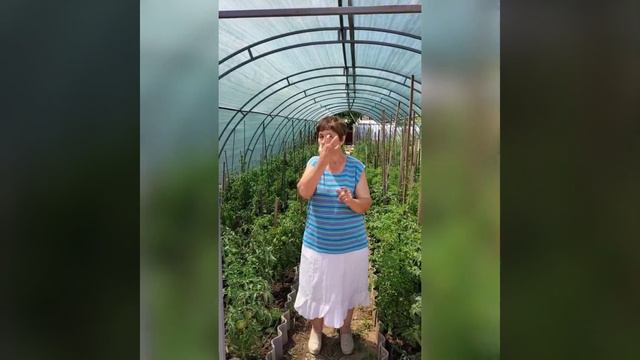 Deaf Дача 2 часть#глухие #ржя #жестовыйязык смотреть онлайн