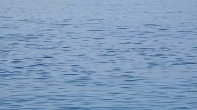 Jackson OCEAN GATE Shore JIg JOG-906L SJ,JOG-908M SJ,JOG-1000MH SJ смотреть онлайн