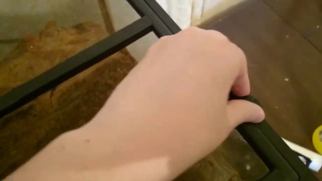 Террариумы смотреть онлайн