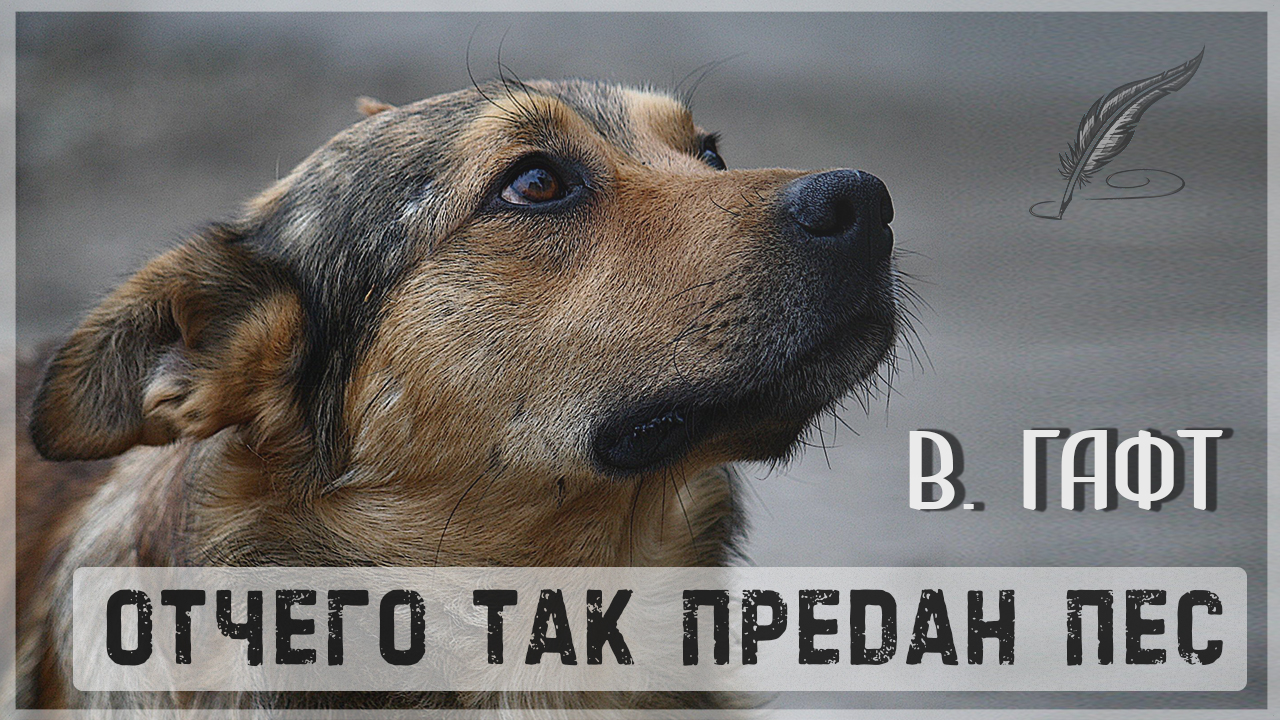 Отчего так предан пес Гафт