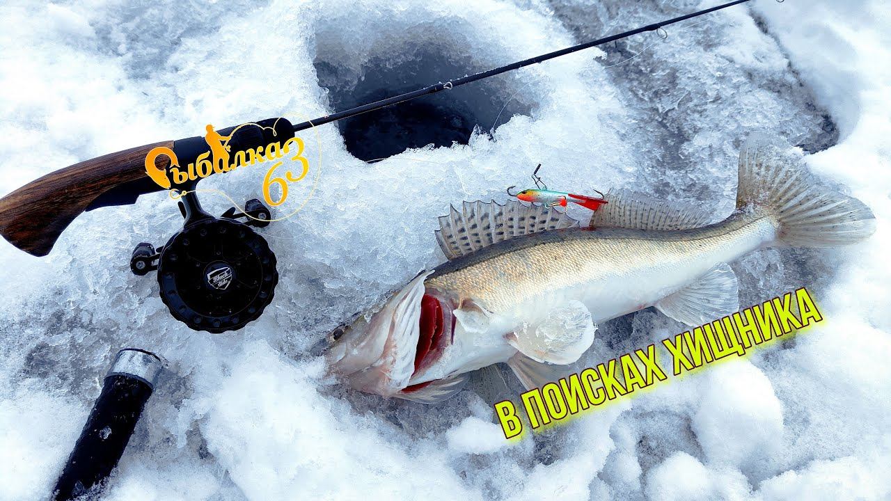 Вышли на реку в поисках хищника. Судака и окуня нашли смотреть онлайн