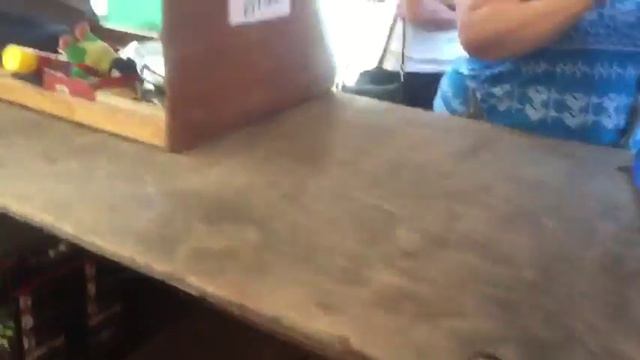 Thai Ridgeback Dogs And Strange People