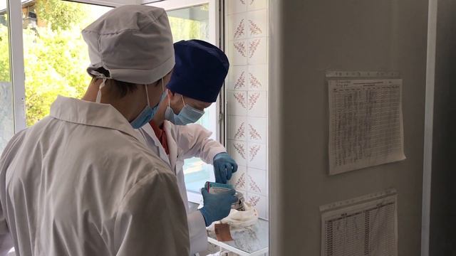 Практика - лучший учитель. В городской больнице Ревды работает отряд студентов-медиков смотреть онлайн