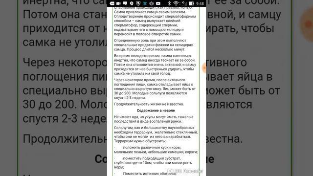 Лекция:сольпуга обыкновенная смотреть онлайн