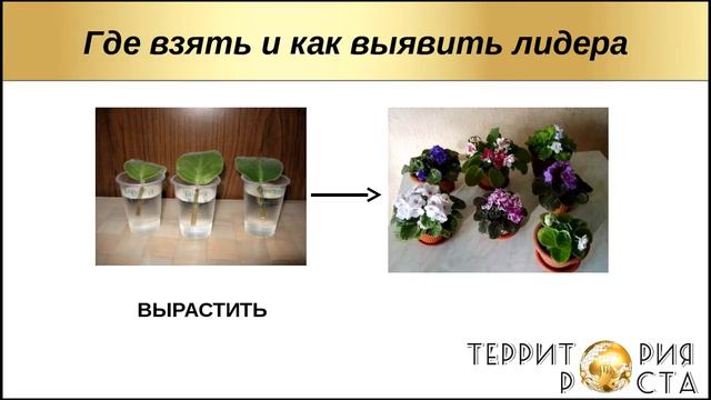 Лидер и как его выявить в команде. Конкина Ольга смотреть онлайн