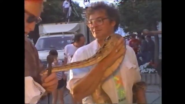 Good Question: Do Boa Constrictors Have Teeth? смотреть онлайн