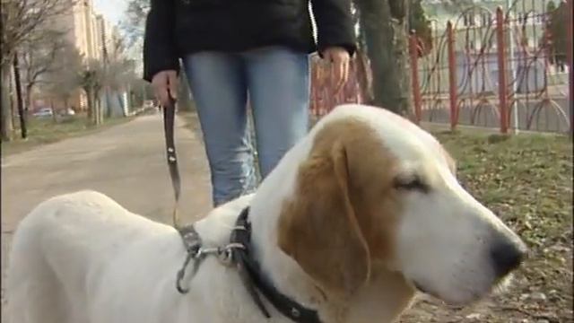 О бабушке Эльзе смотреть онлайн