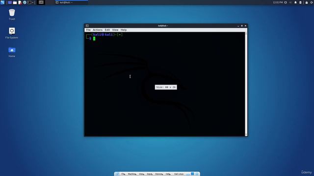 2.16. Kali Linux CLI - Customizing the Bash Environment смотреть онлайн