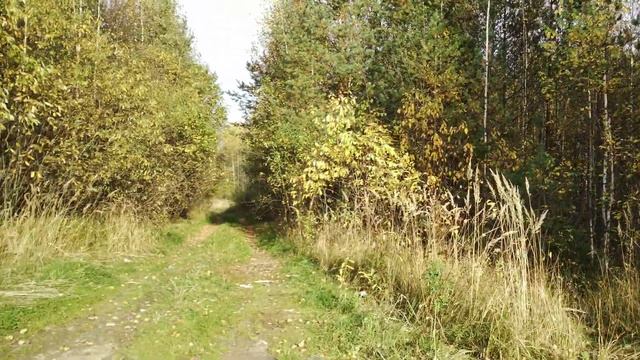 FIMI X8 SE 2020 над водой карьера и в "лесном тоннеле" смотреть онлайн