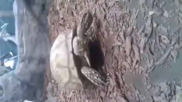 "Крокус Сити Океанариум смотреть онлайн