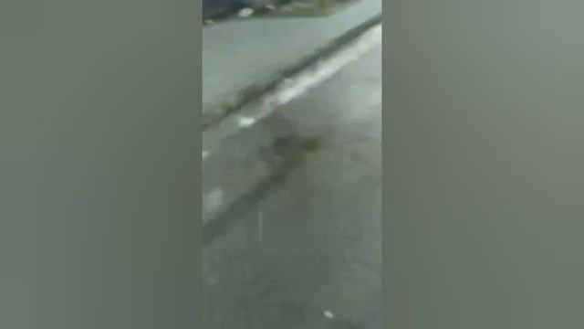 МУС@РОК-ОПЕРОК ИЗ ПАВЛОГРАДА КОШМ@РИТ ЛЮДЕЙ. ПОЛИЦИЯ ДНЕПРОПЕТРОВСКОЙ ОБЛАСТИ. ПАВЛОГРАД. КРОЧКО смотреть онлайн