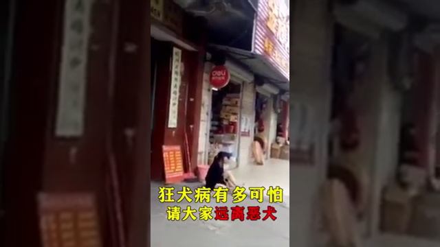 ШОК! Люди впадают в приступ бешенства смотреть онлайн