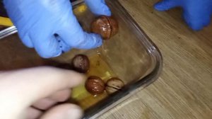 Грецкий орех идеал. Выращивание саженцев из семян