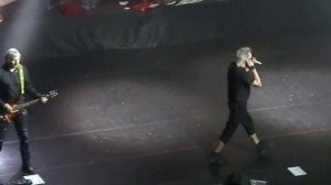 Алиса-Дождь и я (Калининград 17.11.2018)