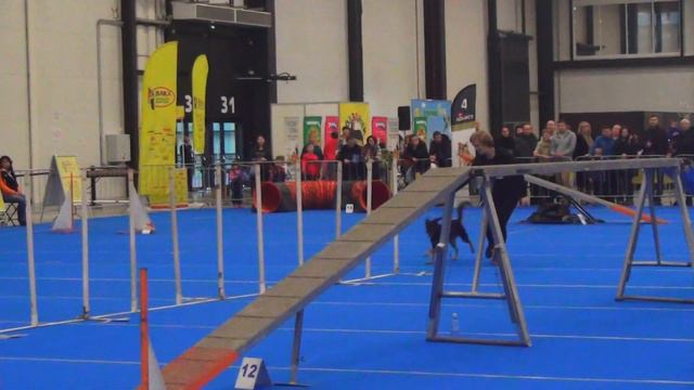 A2 Large Ямпурова Елена и метис РОЗА смотреть онлайн