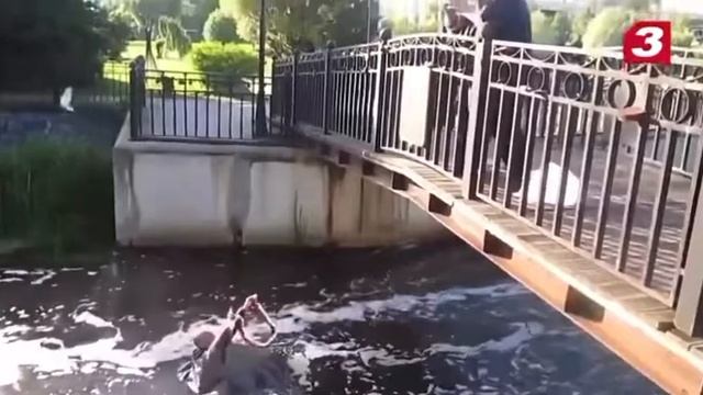 упал борецкий пукнул и Стас одновременно смотреть онлайн