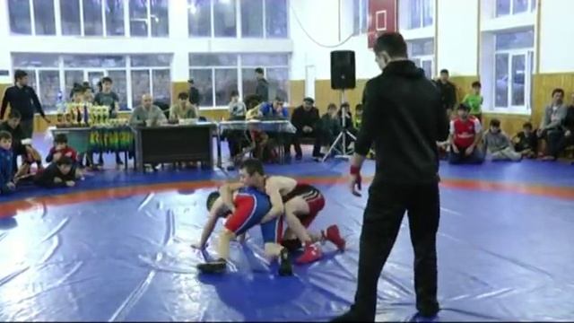 Первенство Сергокалинского района по вольной борьбе смотреть онлайн