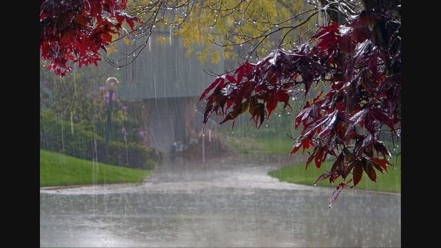 7 hours of rain sounds for sleep смотреть онлайн
