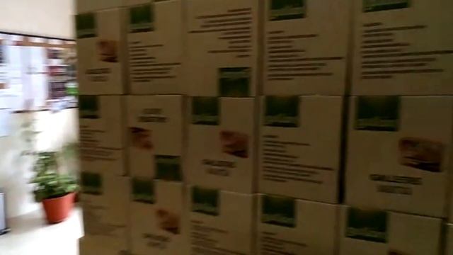 🇪🇸 Иммиграция в Испанию как это? смотреть онлайн