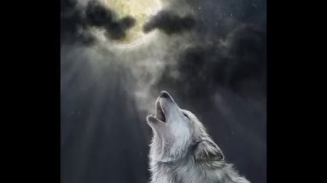 Белые волки.wmv смотреть онлайн