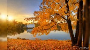 Осень-Пол ван Дайк