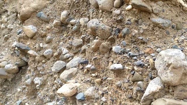 Следы "древних" селей на Алтае смотреть онлайн