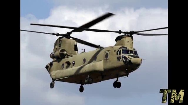 як24 и чинук смотреть онлайн