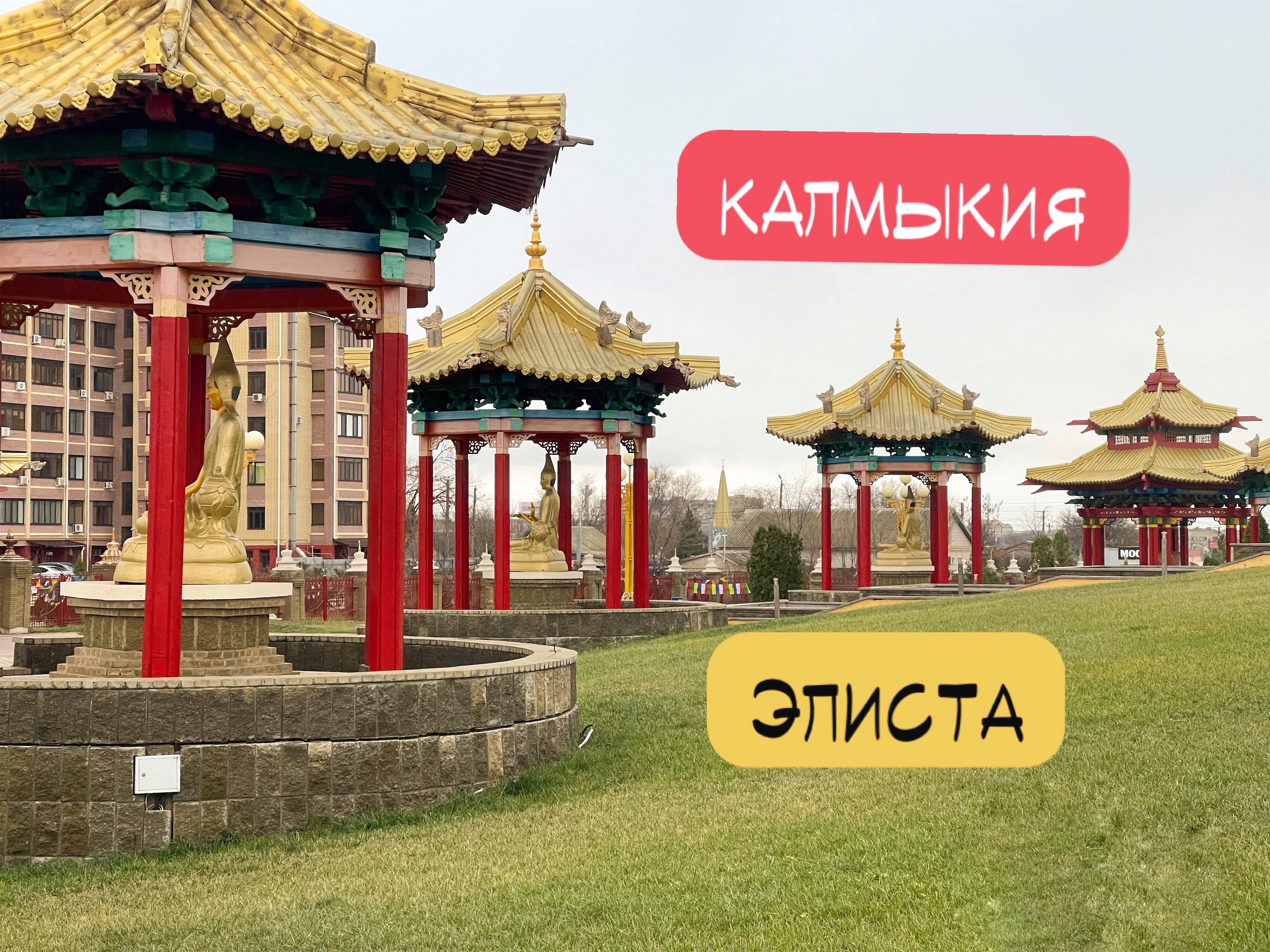 Калмыкия Элиста. Золотая обитель Будды. #путешествие #элиста #буддизм смотреть онлайн