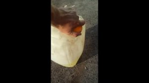 Канистра с бензином на жаре