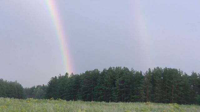 От находки замерло сердце. Окупился весь сезон поиска с металлоискателем. Сова?удивила. смотреть онлайн