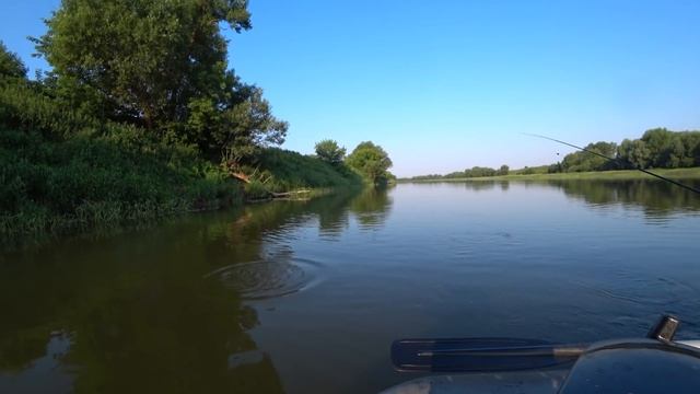 Наловил много рыбы, но подлый ЛОЦМАН отобрал всю. Рыбалка на Оке. смотреть онлайн