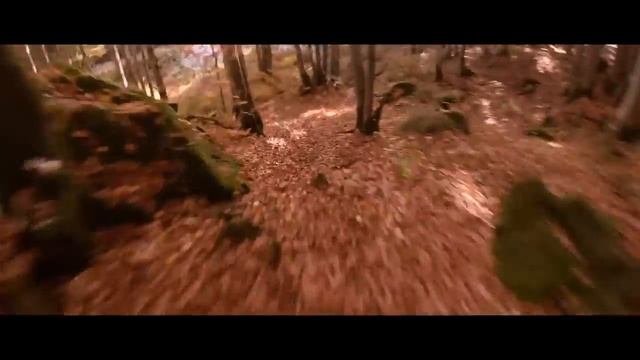 Спуск на лыжах по траве!??? 80 lvl Или красивая рекламма AUDI смотреть онлайн