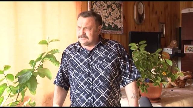 Лайм: его запах снимает напряжение и избавляет от лени смотреть онлайн