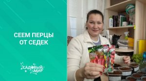 Посев семян перца в феврале 2020. Как это делаю я. Всегда крепкая рассада.