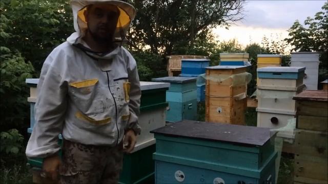 Обработка полей химикатами днем. Как спасти пасеку? Как закрыть пчел в улье и не запарить? смотреть онлайн