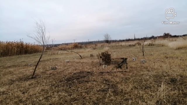 Ловля певчих птиц на тайник. смотреть онлайн