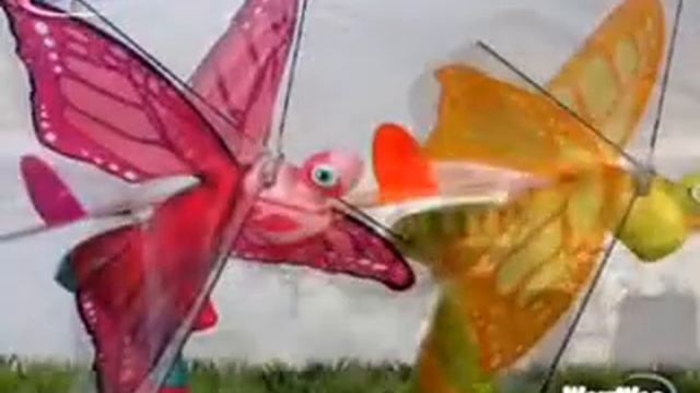 Игрушка Летающая бабочка Бабочка FlyTech Butterfly WowWee смотреть онлайн