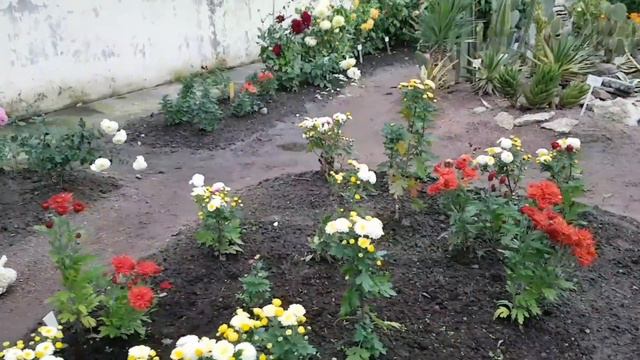 Японский Садик Октябрь смотреть онлайн