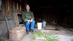 Архангельская область.  Деревня Сура.