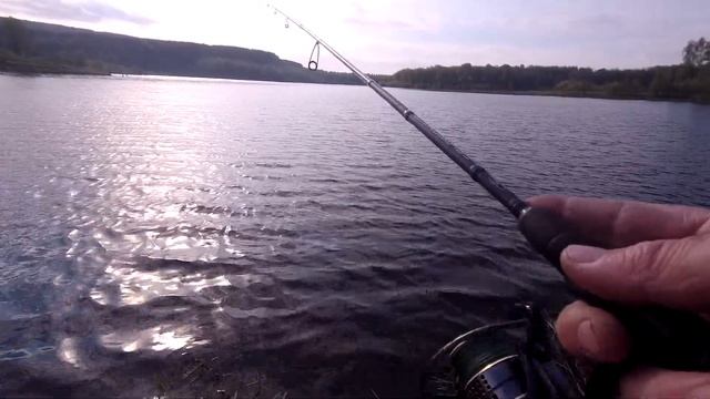 Жор окуня после нереста на платнике в Кедровке! Попадаются трофейных размеров. смотреть онлайн