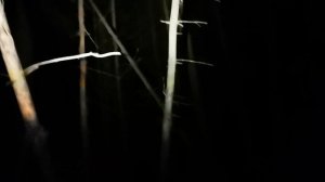 Застрял ночью один в лесу, оффроад 4х4 на УАЗ в бездорожье