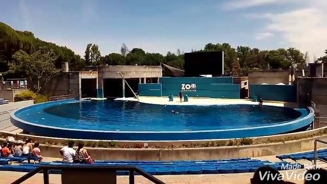 Мадрид зоопарк смотреть онлайн