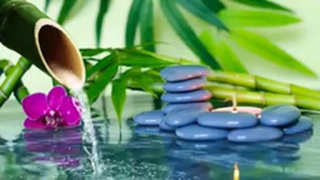 Нежный шум дождя без грома для сна и учебы - 3 часа релакса в лесу смотреть онлайн