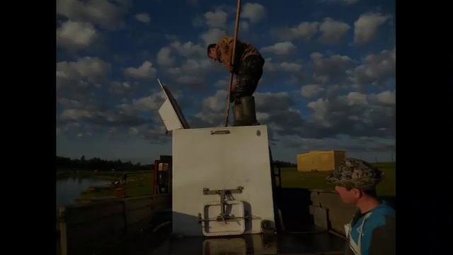 Зарыбление линем 08 06 2017 год смотреть онлайн