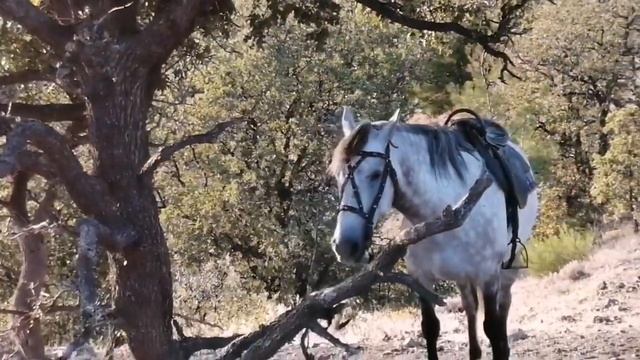Башня ЧОБАН-КУЛЕ КРЫМ БОЮСЬ ВЫСОТЫ 2019 ГОД
