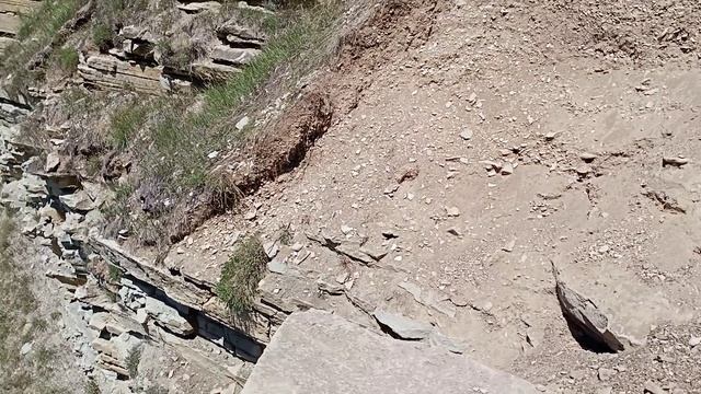 ПОЧВЕННЫЙ СРЕЗ И СТРУКТУРА НАРУЖНОГО БОРТА . смотреть онлайн