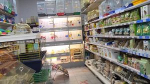 VLOG Алиса у доктора. Ливень. Неожиданные гости