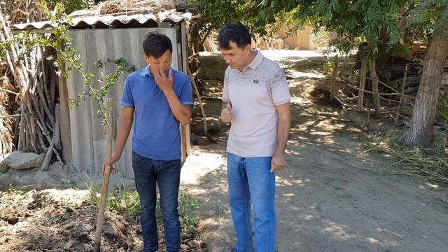 БИОГУМУС НИМА ЎЗИ ? Қандай тартибда тайёрланади ? Барча жараёнлари хақида маълумотлар видеолавхаси. смотреть онлайн