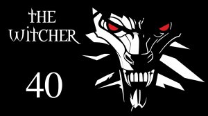 The Witcher / Ведьмак - Знакомство с лесорубами и друидами - Прохождение игры [#40] | PC (2016 г.)